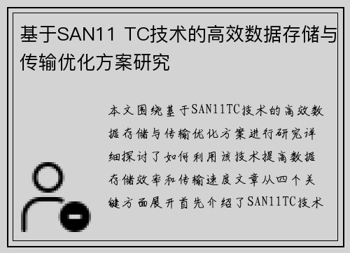 基于SAN11 TC技术的高效数据存储与传输优化方案研究
